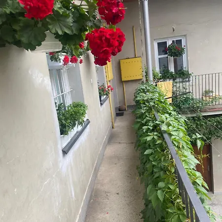 شقة Old Town View 2 رشيشوف